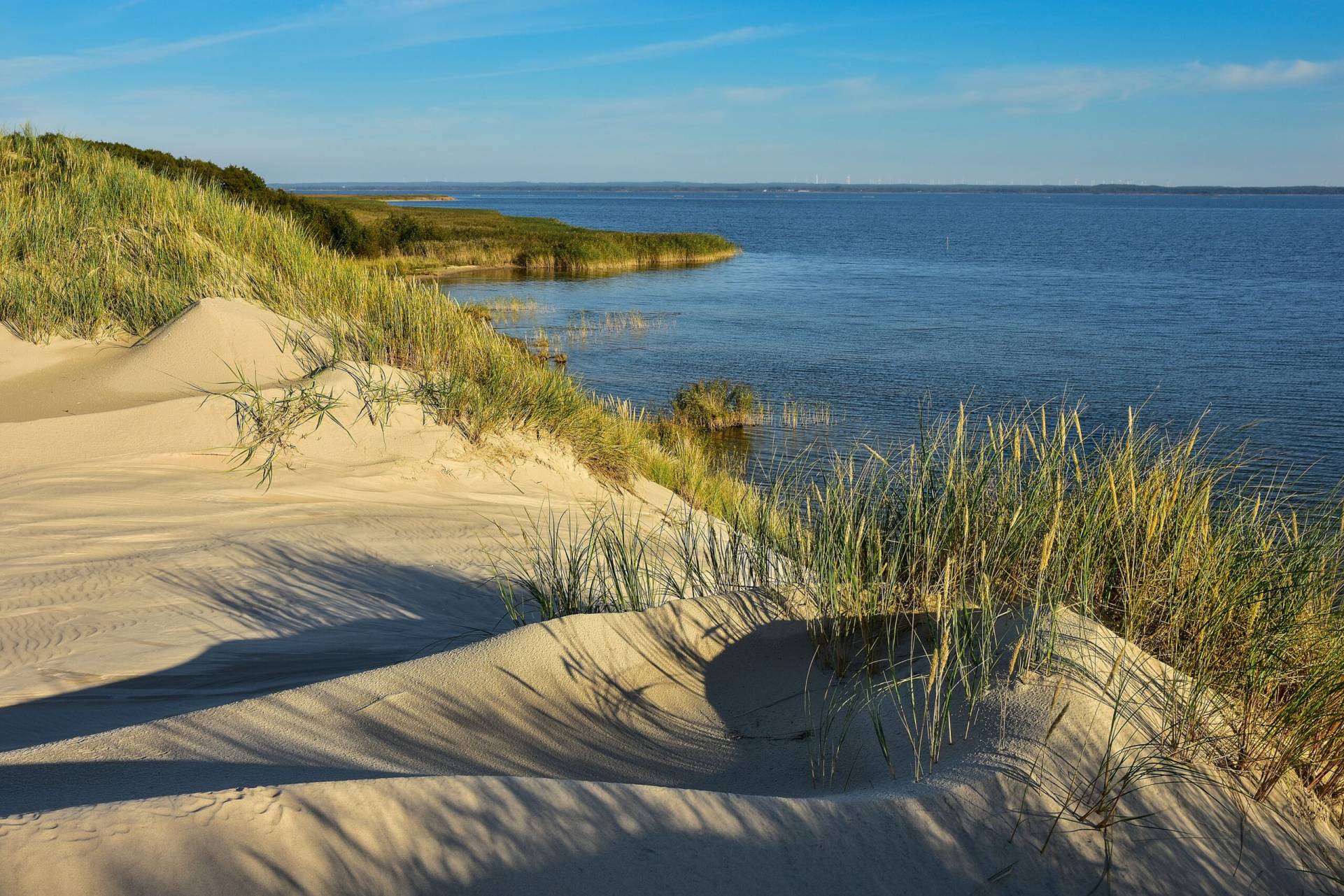 AdobeStock 462941342 Min Scaled 1